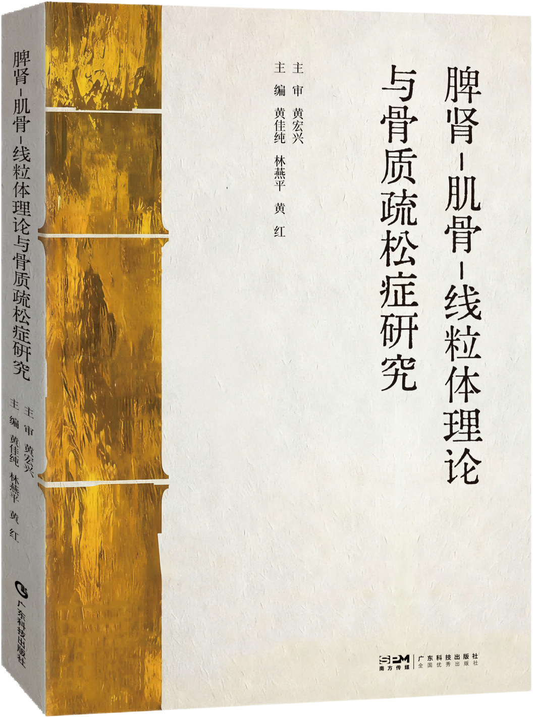 脾肾-肌骨-线粒体理论与骨质疏松症研究