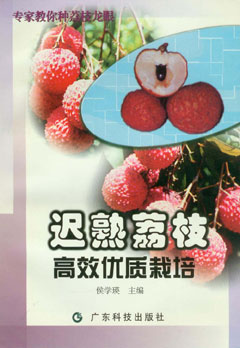 迟熟荔枝高效优质栽培