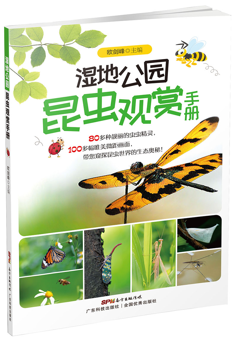 湿地公园昆虫观赏手册